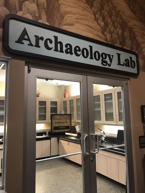 Paleoanthropology Aesthetic, Archeology Student Aesthetic, Archaeology Student Aesthetic, Anthropology Major Aesthetic, Archeologists Aesthetics, Archeology Aesthetic Room, Anthropologist Aesthetic, Archaeologist Aesthetic, Archeology Student