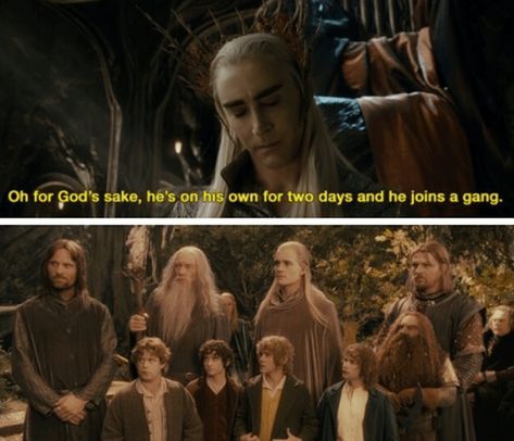 A Hot Mess of Lord of the Rings Memes Both Old and New - Memebase - Funny Memes Thranduil Funny, Tolkien Funny, Earth Memes, Lotr Elves, Legolas And Thranduil, Lotr Funny, New Funny Memes, Thranduil, Legolas