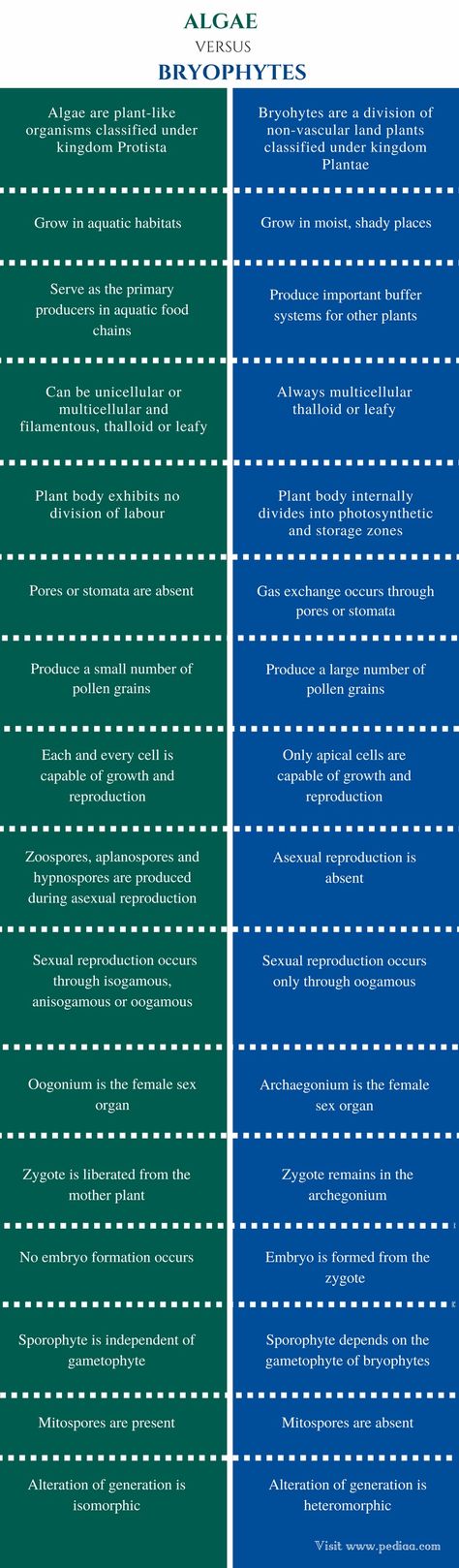 Bryophytes Notes, Algae Classification, Bodies Exhibit, Kingdom Plantae, Study Biology, Blue Green Algae, Leafy Plants, Medical School Essentials, Red Algae