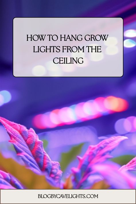 🌿 Enhance your indoor garden with our plant light guide! Learn the best methods for hanging grow lights from the ceiling. Tap to read the full article! 🌼 Plant Light, Grow Room, Light Guide, Grow Tent, How To Hang, Plant Lighting, Lighting Guide, Led Grow, Led Grow Lights