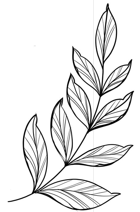 Aesthetic Drawings Sketches, Leaves Tattoo Design, Leaf Tattoo Design, Leaf Drawings, Easy Drawing Step By Step, Traditional Tattoo Designs, Aesthetic Drawings, Easy Drawing Steps, Leaf Outline