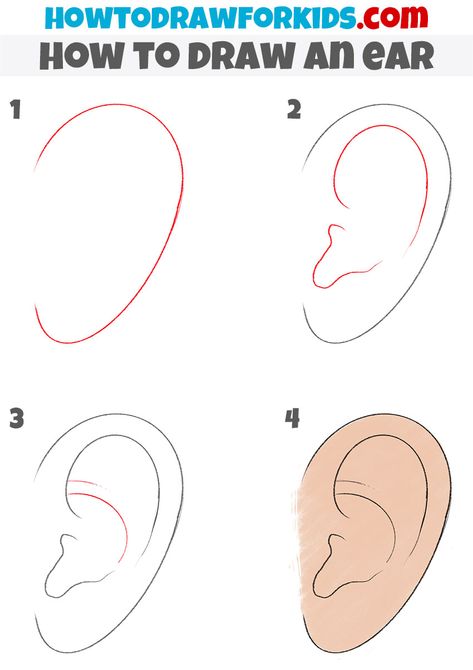 Ear Drawing Tutorial Step By Step, Drawing Ears Step By Step, How To Draw Ears Step By Step, How To Draw An Ear, Ear Tutorial Drawing, How To Draw A Body Easy, Draw Ear, Morphogenetic Field, Ears Drawing