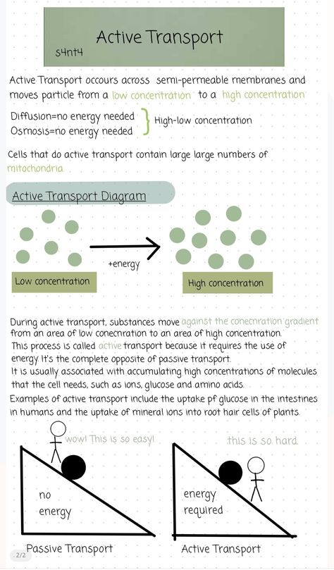 Revision 
Biology Biology Revision Gcse Flashcards, Biology Information, Active Transport Notes, Infection And Response Revision, Passive Transport Notes, Cellular Transport Notes, Gcse Science Notes, Passive Transport Biology, Gcse Combined Science Revision