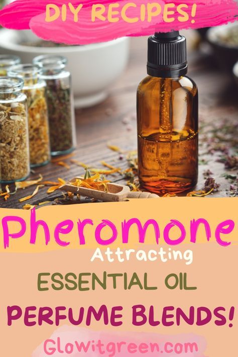 Make DIY perfume blends with attraction properties at Glowitgreen.com! Pheromones, the mystical chemical compounds in our bodies that signal attraction, can be mimicked by certain essential oils and mixed into recipes to inspire love, attraction, and warmth! Click for more information about pheromone scents, and be inspired by these blend recipes to create your love potions! Love Potion Essential Oil Blend, Pheromone Essential Oil Blend, How To Make Pheromone Oil, Diy Pheromone Perfume, Pheromone Perfume Diy, Diy Fragrance Oil, Natural Perfume Recipes, Essential Oil Cologne, Diy Perfume Oil