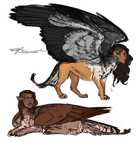 Sphinx Mythology, Humanoid Creatures, Creature Drawings, Creature Feature, Mythological Creatures, Mystical Creatures, An Animal, Creature Design, Creature Art