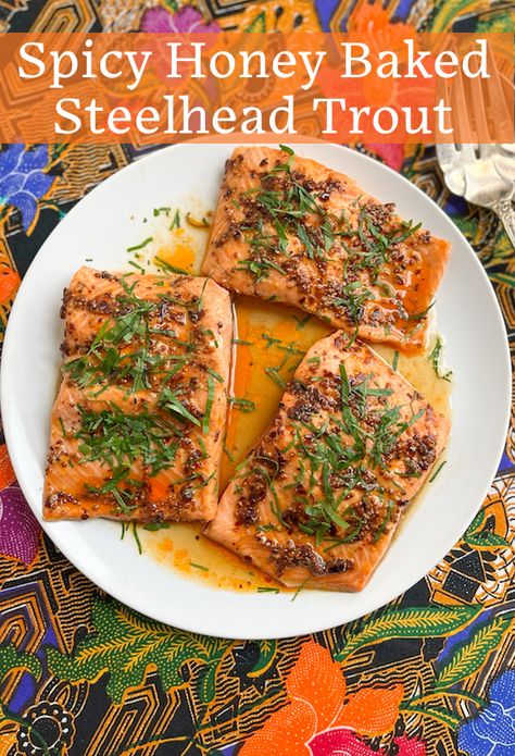 Steel Head Trout Recipe, Steelhead Trout Recipes, Trout Recipes Baked, Steel Head Trout Recipes, Baked Steelhead Trout, Steelhead Recipes, Steelhead Trout Recipe Baked, Steelhead Trout Recipe, Trout Fillet Recipes