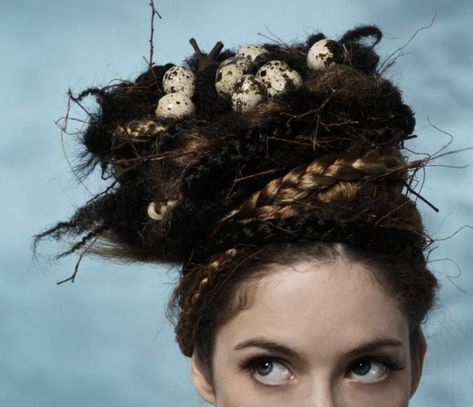 Bird Nest Hair, Bird Costume, Witch Halloween Costume, Hair Shows, Crazy Hair Days, Halloween Hair, Paul Mitchell, Fantasy Makeup, Bird Nest