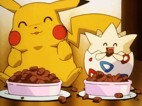 Pokemon Pikachu And Friends, Pichu Pikachu Raichu, Pikachu Raichu, Pika Pika, Pokemon Gif, Pokemon Tattoo, Cute Funny Pics, Pokemon Pins, Pet Mice