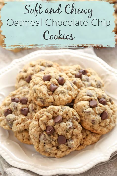 Oat Chocolate Chip Cookies, Chewy Oatmeal Chocolate Chip Cookies, Oatmeal Chocolate Chip Cookie Recipe, Oatmeal Cookies Chewy, Oatmeal Chocolate Chip, Speed Internet, Oat Cookies, Oatmeal Chocolate, Oatmeal Cookie Recipes