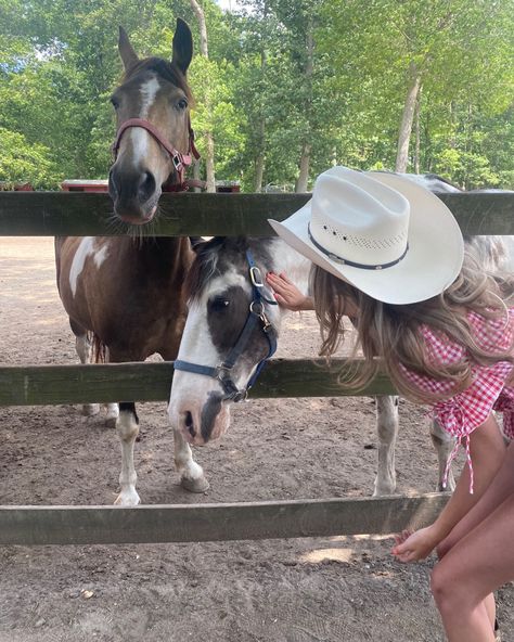 Southern Mom, Girls Sister, Miley Stewart, Georgia Southern, Summer Movie, Yee Haw, Cowgirl And Horse, Southern Belle, Country Boys