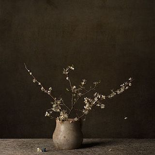 Tineke Stoffels (@tinekestoffelsphotography) • Instagram photos and videos Wabi Sabi Photography, Wabi Sabi Flowers, Wabi Sabi Japanese, Japanese Vase, Rental Decorating, Lace Print, Dutch Artists, Interior Photography, Still Life Art