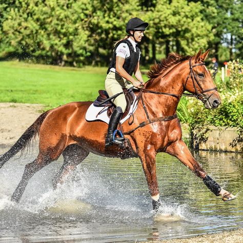 Horse Riding Cross Country, Cross Country Aesthetic Horse, Cross Country Jumping, Cross Country Equestrian, Eventing Horses Cross Country, Cross Country Horses, Cross Country Horse Riding, Horse Cross Country, Eventing Cross Country