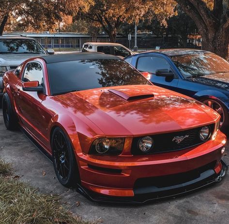 3v Mustang Gt, S197 Mustang Gt, 06 Mustang, 05 Mustang, Fort Mustang, 2005 Mustang Gt, Mustang 2006, S197 Mustang, Mustang 2008