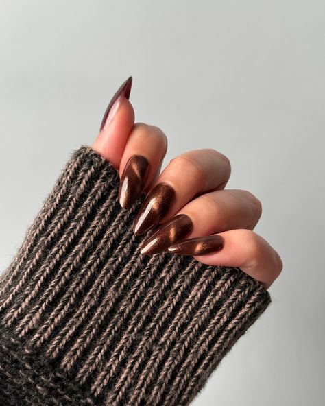 Lights Lacquer, Home for the Harvest 🧺 🐿️ Maple Street, a mahogany brown polish with a fine golden shimmer and magnetic finish • use code COLORNOOK to save on your purchase @lightslacquer • use code THECOLORNOOK to save on your purchase @nominal #lightslacquer #homefortheharvest #fallnails #fallnailcollection #nailpolishswatch #nailswatch #nailinspo #maplenails #brownnails #cateyenails #darknails #magneticnails magnetic cat eye brown maple nails golden shimmer Bronze Cateye Nails, Brown On Brown Nails, Brown Tiger Eye Nails, Brown Reflective Glitter Nails, Fall Brown Cat Eye Nails, Autumn Nails Cat Eye, Chocolate Cat Eye Nails, Brown Cats Eyes Nails, Brown Nails Cat Eye