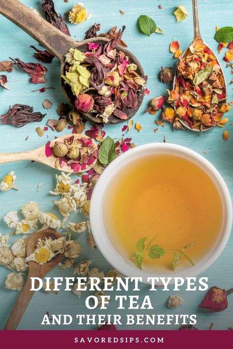 Tea Types And Benefits, Tea Bags Aesthetic, Health Benefits Of Tea, Tea Blending, Best Matcha Tea, Tea Types, Tea Health, Different Types Of Tea, Best Herbal Tea