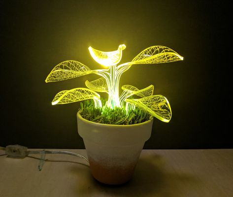 Unique Housewarming Indoor Plant Lamp - Desk Lamps -   “Are you someone seeking low-maintenance gardening, but still want to have all the perks and pride that comes along with having a green thumb? In fact, today, thanks to one bright (literally) botanical invention dubbed the “lamp plant” it’s now a radiant... #Bedroom #Bedside #Concept #Design #Industrial #Led #Lightfixture #Tablelamp Lamp Plant, Desk Plant, Plant Lamp, Light Nursery, Fun Office, Desk Plants, Green Lamp, Nursery Lighting, Unique Floor Lamps