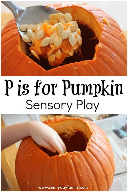 Pumpkin sensory play! Exploring pumpkins inside and out is an amazing sensory experience for toddlers & preschoolers. Pumpkin Sensory, Fall Toddler Activities, P Is For Pumpkin, Pumpkin Lessons, Pumpkin Science, Fall Sensory, Pumpkin Day, Activity For Preschoolers, Pumpkin Activities