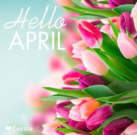 Hello APRIL - Poem by Sunshine Smile April Poems, Aesthetic Spring Wallpaper, April Images, Wallpaper April, April Aesthetic, April Wallpaper, Neuer Monat, April Quotes, Seasons Months