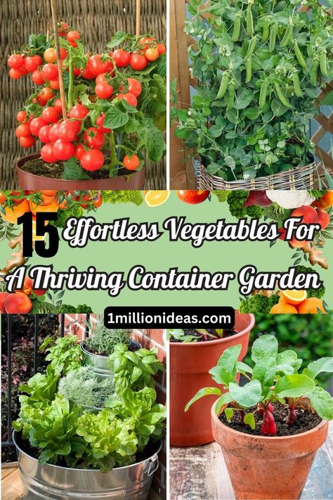 15 Effortless Vegetables For A Thriving Container Garden Diy Container Gardening, Bucket Gardening, Easy Vegetables To Grow, Garden Vegetables, Fall Garden Vegetables, Heirloom Vegetables, Crop Rotation, Seed Saving, Fall Garden