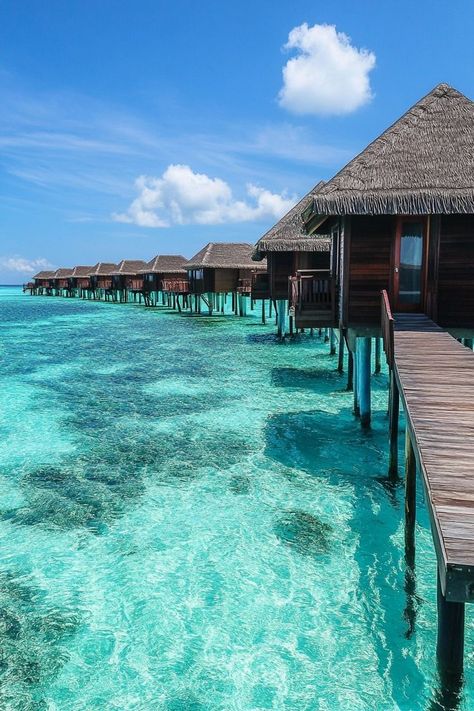 "Dreaming of paradise? 🌴🏝️ Experience ultimate luxury in overwater bungalows in the Maldives! Dive into crystal-clear waters and enjoy breathtaking views right from your private retreat. 🌊✨ #Maldives #OverwaterBungalows #TravelGoals" Maldives Bungalow, Tropical Luxury, Overwater Bungalows, Life Vision Board, Romantic Vacations, The Maldives, Beach Quotes, Bora Bora, Crystal Clear Water