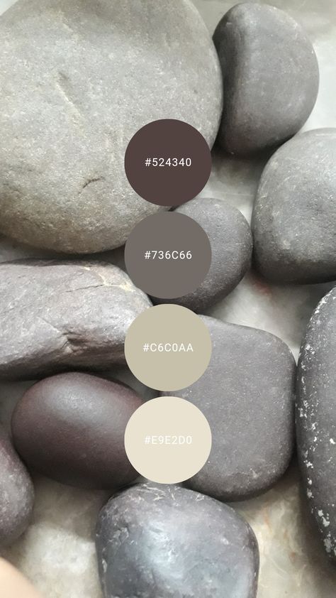 Shades Of Brown Colour Palettes, Grey Beige Color Palette, Color Palette Brown, Bachelor Apartment, Colours That Go Together, Dark Chocolate Color, Beige Color Palette, Hex Color Palette, Paint Color Inspiration