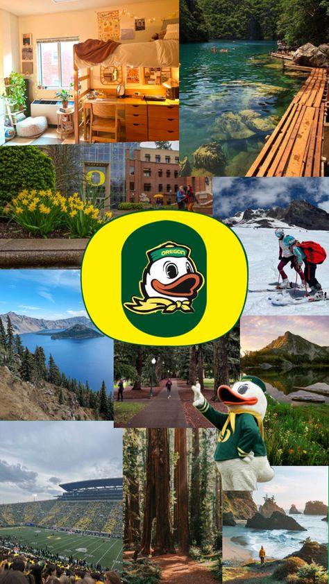 #oregon #university #collage University Collage, Oregon Aesthetic, Oregon University, Oregon Ducks Logo, Oregon College, Vision Board Goals, Oregon State University, College Fits, Dream College