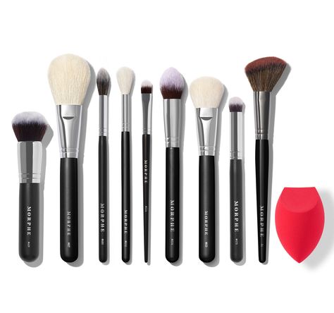 BABE FAVES FACE BRUSH SET Obx House, Nose Highlight, Morphe Cosmetics, Best Bronzer, Face Brush Set, Bronzer Brush, Eye Brushes Set, Makeup Accesories, Makeup Sponges