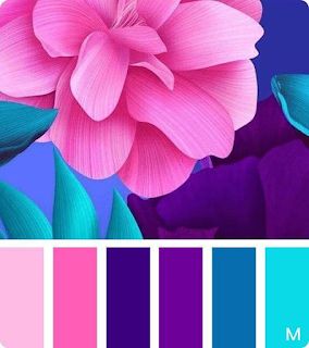 Fresh Air Color Palette, Bright Bedroom Accent Wall, August Palette Color, Pop Of Color Photography, Blue Yellow Purple Colour Palettes, Prismatic Color Palette, Pink Purple Blue Color Palette, Bright Jewel Tone Color Palette, 3 Color Palette Colour Schemes