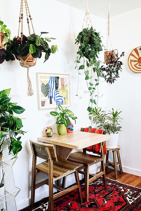 Dining Room With Plants, Bedrooms Ikea, Interiors Minimalist, Chic Bedrooms, Rental Kitchen, Guest Houses, Room With Plants, Small Dining, Decor Minimalist