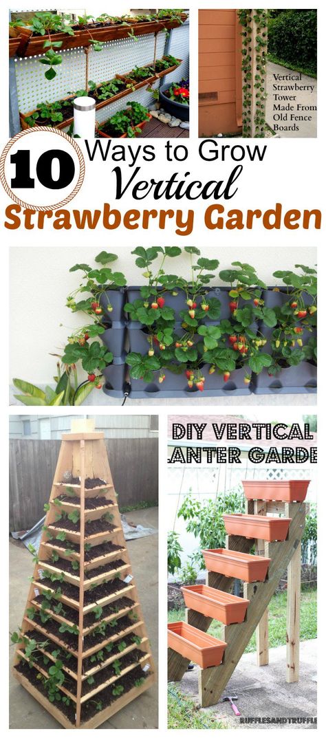 10 DIY Vertical Container Strawberry Planters Vertical Strawberry Garden, Strawberry Planters Diy, Growing Strawberries In Containers, Diy Mat, Diy Garden Landscaping, Strawberries In Containers, Vertical Vegetable Gardens, Beds Diy, Strawberry Planters