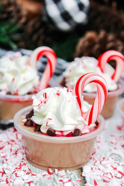 Peppermint Hot Cocoa Jell-o Shots, Peppermint Chocolate Pudding Shots, Hot Cocoa Pudding Shots, Hot Chocolate Jello Shots, Chocolate Jello Shots, Chocolate Peppermint Pudding Shots, Christmas Themed Jello Shots, Jell-o Shots Christmas, Peppermint Jello Shots