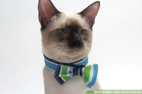 Dog Bow Tie Diy, Cat Collars Diy, Make A Bow Tie, Cat Tie, Bowtie Pattern, Make A Bow, Collars Diy, Dog Tie, Pet Bow Ties