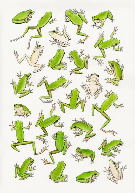 Frosch Illustration, Frog Stickers, Frog Illustration, Frog Pictures, Arte Indie, Frog Tattoos, Frog Drawing, Frog Art, Green Frog