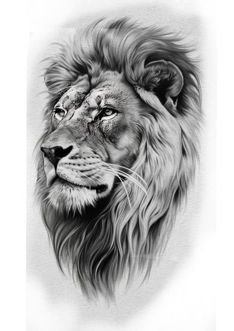 Lion Tattoo Outline, Realistic Lion Tattoo Design, Leones Tattoo, Lion Tattoo Stencil, Leon Tattoo, Simple Cat Tattoo, Line Art Simple, Cat Tattoo Ideas, Lion Art Tattoo