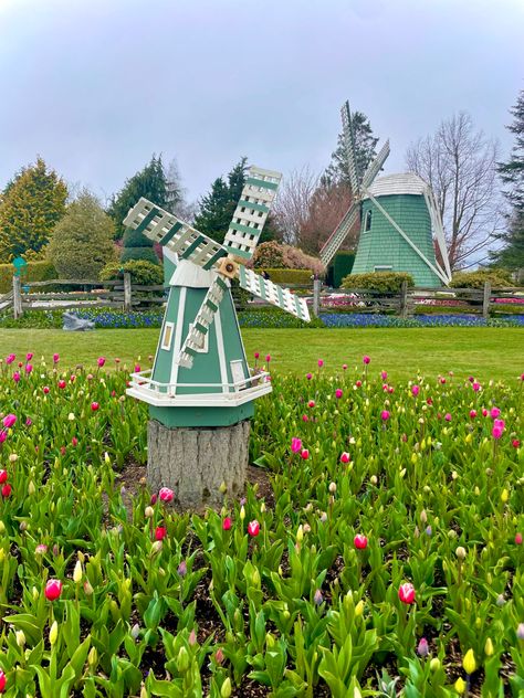 tulip festival, washington, windmill, springtime, springtime aesthetic Windmill Aesthetic, Tulip Festival Washington, Mini Windmill, Springtime Aesthetic, Garden Windmill, Tulip Festival, Wind Farm, Garden House, Spring 2023