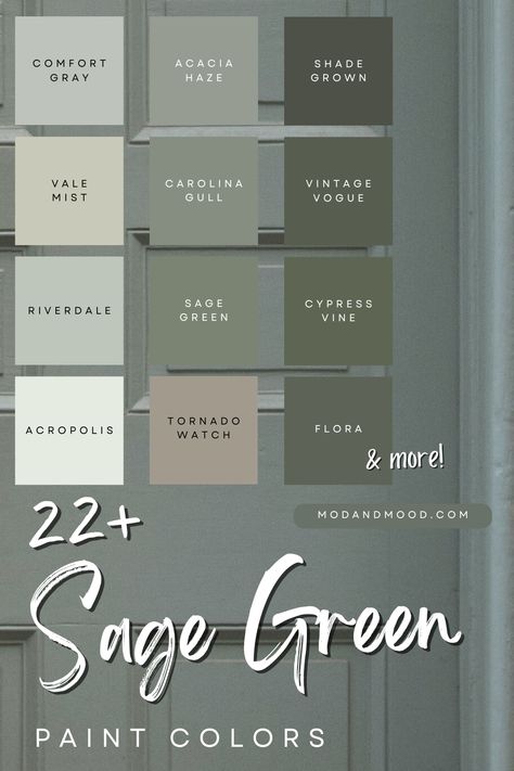 The best sage green paint colors for any space Sage Green Dining Room Accent Wall, Green Neutral Paint Colors, Green Kitchen Wall Colors, Antique Green Paint Color, Beautiful Green Paint Colors, Sage Green Interiors, Sage Green Light Sherwin Williams, Sage Green Bedroom Paint, Sage Green Mood Board