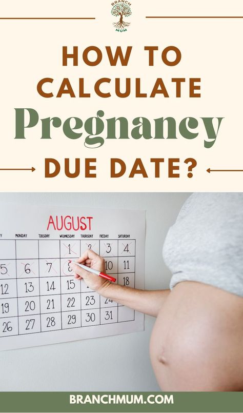 Calculating your pregnancy due date is an important first step in your journey to becoming a parent. There are a number of different methods that you can use to calculate your due date, and each has its own advantages and disadvantages. The most important thing to remember is that your due date is an estimation, and your baby will come when it is ready.Want to find out when you are due? Read on! Pregnancy Date, Pregnancy Due Date Calculator, Due Date Calculator, Pregnancy Due Date, Baby Due Date, Advantages And Disadvantages, Free Advice, Due Date, Everything About You