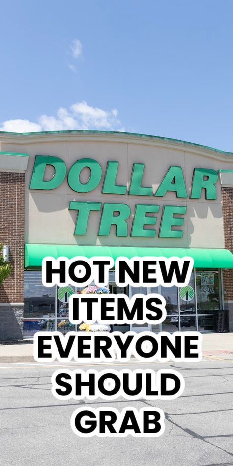 5 New Dollar Tree Items That Are So Good, I'm Buying Some for Everyone I Know Firehouse Subs, Dollar Tree Hacks, Family Dollar, Dollar Store Hacks, Dollar Tree Finds, Places To Shop, Diy Dollar Store Crafts, Dollar Tree Store, Worst Day