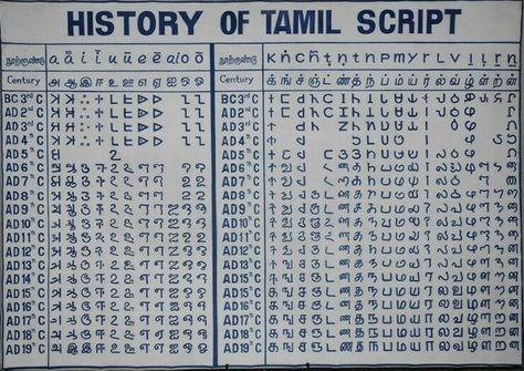 History Tamil Script, Tamil Font, Indian Culture And Tradition, Tamil Motivational Quotes, Tamil Language, Language Quotes, Vedic Mantras, Rhymes For Kids, General Knowledge Facts