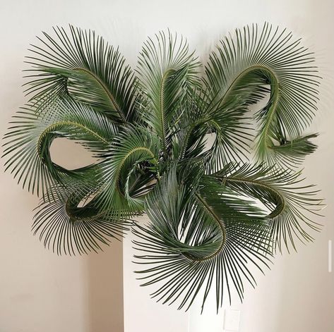 Palm Leaves Flower Arrangements, Branch Arrangements, Flower Arragement, Plant Installation, Wedding Archway, Flower Installation, Silk Plants, Floral Studio, Leaf Decor