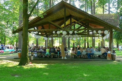 A picnic shelter like this would be handy just in case Picnic Shelter Decoration, Bbq Pavilion, Wedding Cactus, Picnic Pavilion, Pavilion Ideas, Picnic Shelter, Woodland Fairy Party, Tiny House Village, Events Place