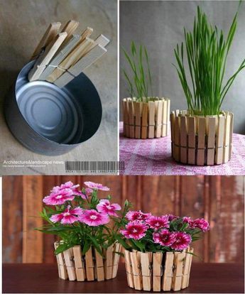 Diy Flores, نباتات منزلية, Plant Pot Diy, Fleurs Diy, Cheap Flowers, Deco Nature, Diy Flower Pots, Dekor Diy, Diy Simple