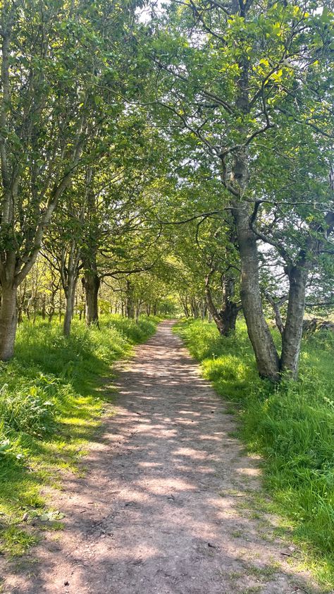 Walks In Nature Aesthetic, Walking Asthetic Pic, Summer Walks Aesthetic, Nature Walks Aesthetic, Going On Walks Aesthetic, Walking Asethic, Forest Walk Aesthetic, Nature Walk Aesthetic, Morning Walks Aesthetic