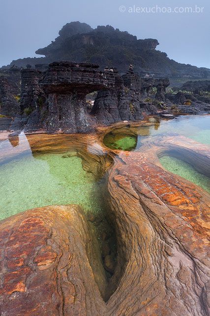 Monte Roraima - Venezuela, Brasil e Guiana Monte Roraima, Mount Roraima, Phuket Thailand, Incredible Places, Pretty Places, Places Around The World, Phuket, Wonderful Places, Beautiful World