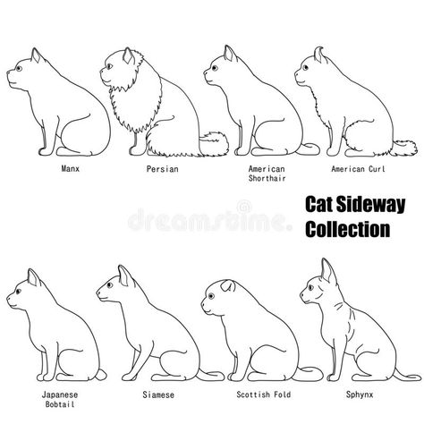 Sitting cats side view line art set. Sitting cats line art side view set, various breed,full length, with colors stock illustration Cat Sitting Side View, Cat Side View, Wolf Side View, Tracing Art, Profile Drawing, Cat Drawing Tutorial, Cat Anatomy, Types Of Cats, Cat Stands