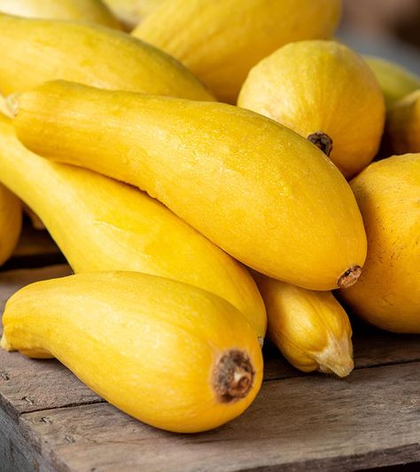 Squash Benefits, Crookneck Squash, Yellow Zucchini, Squash Seeds, Yellow Summer Squash, Yellow Squash, Summer Vegetable, How To Store, Organic Seeds