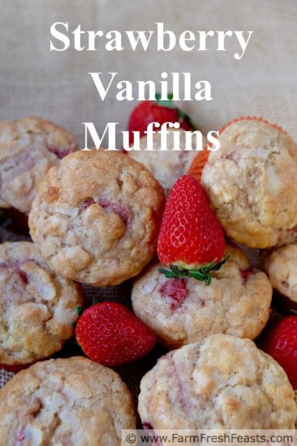 Yogurt Scones Recipe, Vanilla Yogurt Cake, Vanilla Yogurt Recipes, Instant Pot Yogurt Recipe, Homemade Yogurt Recipes, Molasses Muffins, Instant Pot Yogurt, Vanilla Muffins, Yogurt Muffins