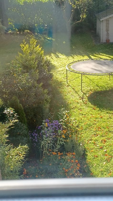 cottagecore but the Trampoline is ruining it... nvm Aesthetic Trampoline, Farm Asthetic, Trampoline Aesthetic, Routine Board, Garden Trampoline, Book Mood, Cottage Lake, Scarlett Rose, Starry Eyed