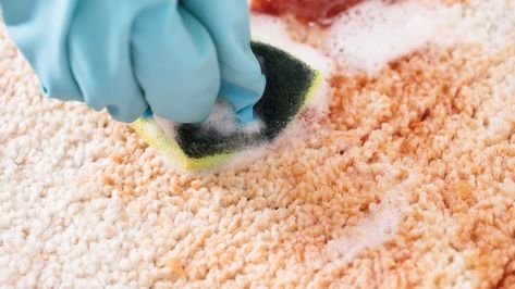 How to Clean Vomit From a Carpet 3 Ways Shag Carpet, Carpet