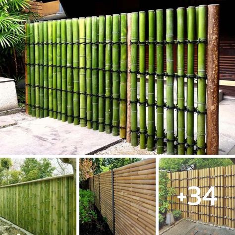 House Design - 34 Beautiful "Bamboo Fence" Ideas for... Fencing With Bamboo, Bamboo Fence Design Ideas, Bamboo Fence Design, Bamboo Fence Ideas, Bamboo Privacy Fence, Bamboo Garden Fences, Cordwood Homes, Bamboo Diy, Bamboo Privacy